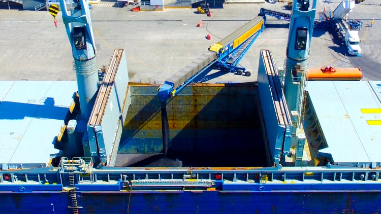 Cascading Solutions of Grasshopper Conveyors in Bulk Material Handling